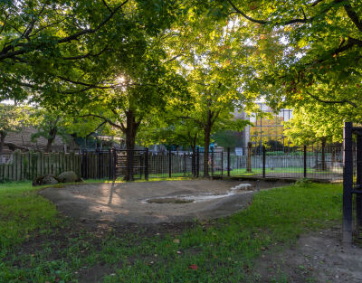 Buffalo Zoo, Bison Exhibit Renovation